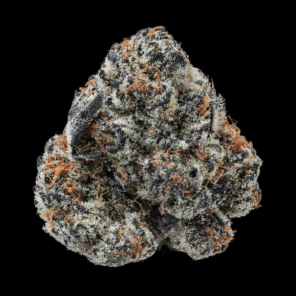 28/1 IUVO OC Killer Cupcake