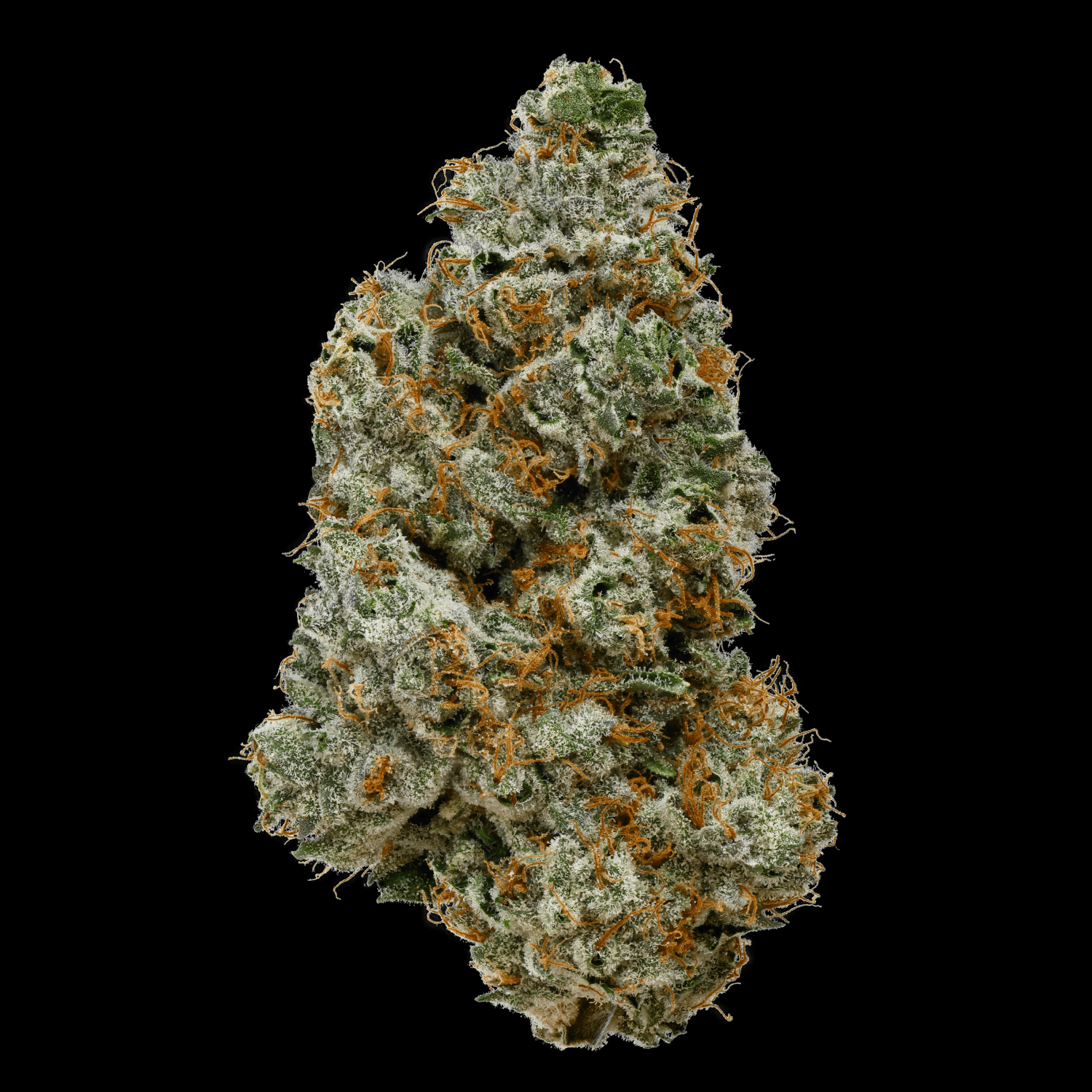 Med. Cannabis
