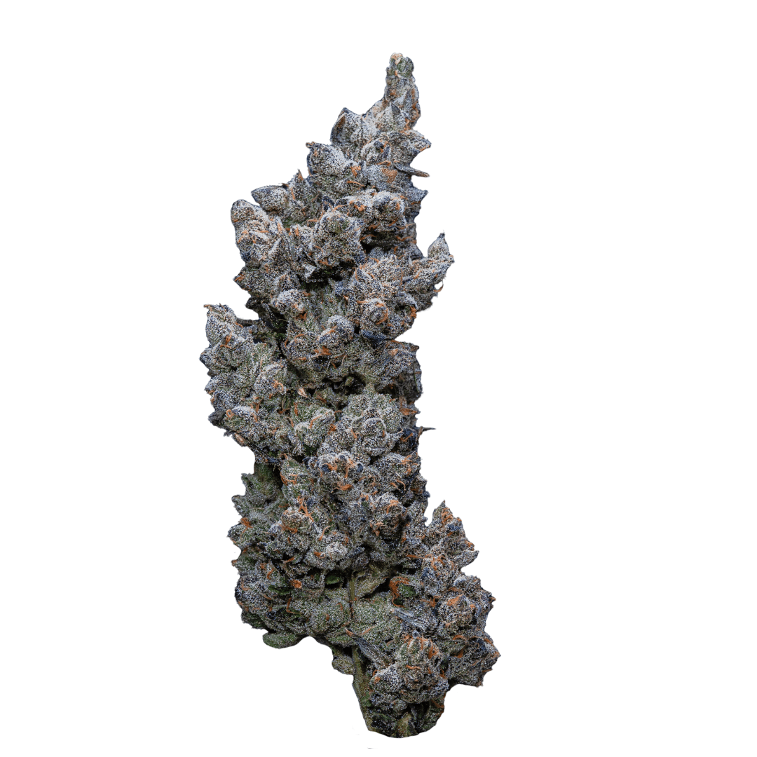 32/1 IUVO SQ APPLES & BANANAS