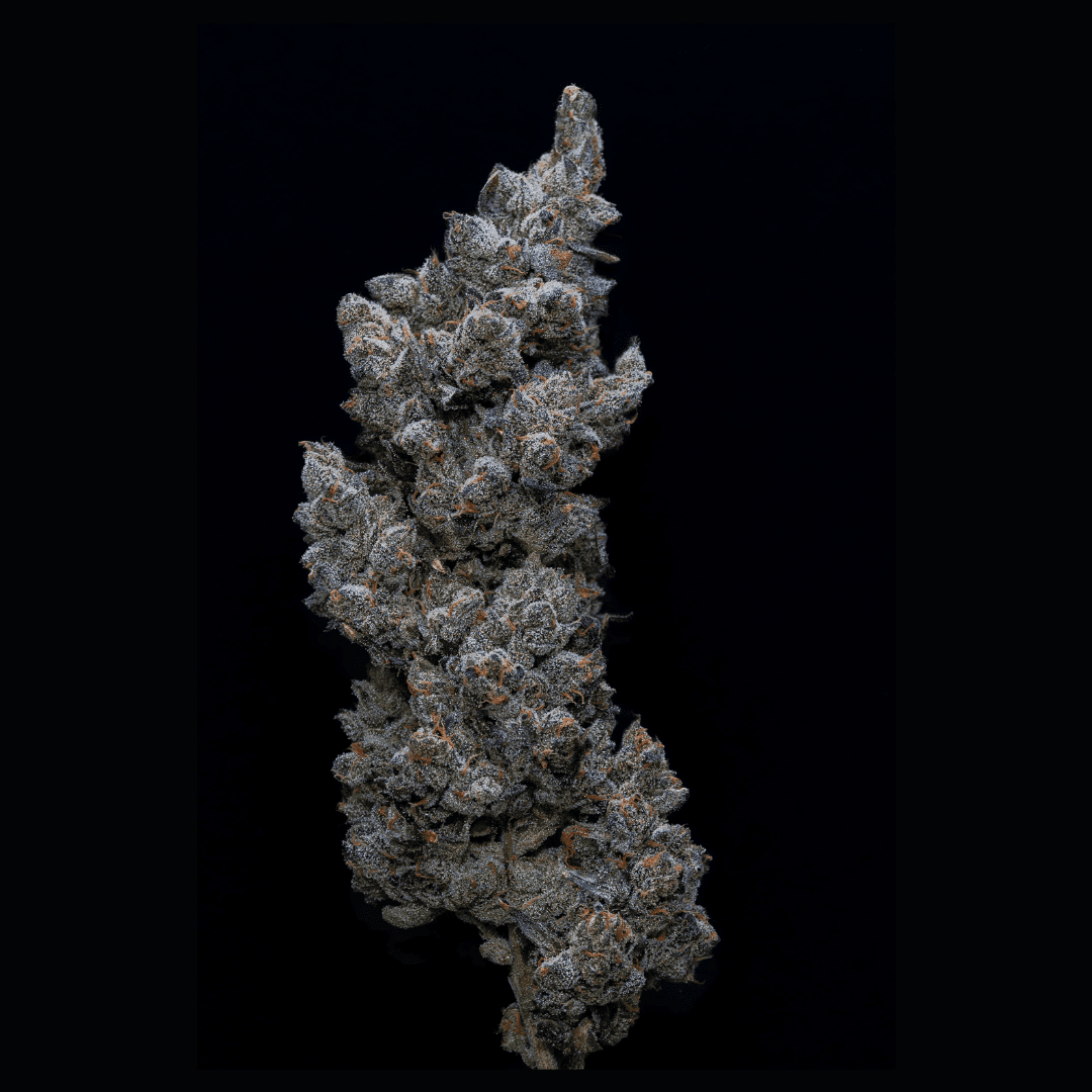 Med. Cannabis