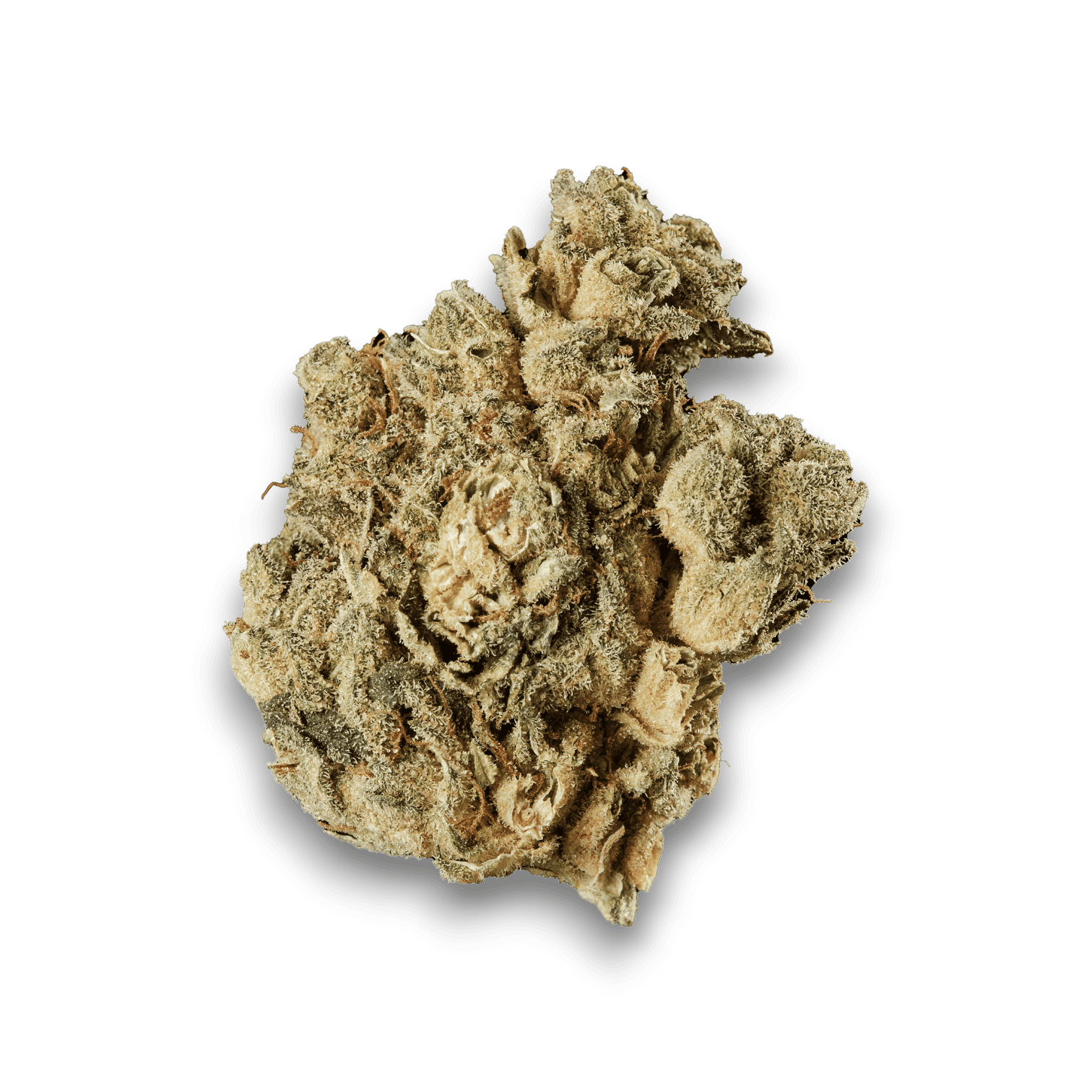 Med. Cannabis