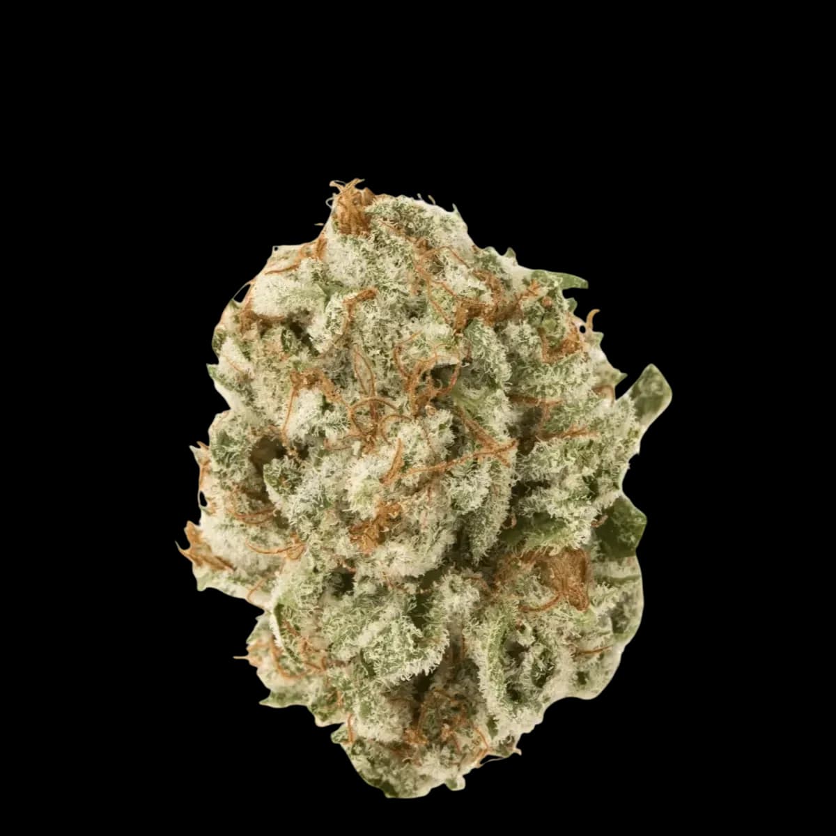 Med. Cannabis