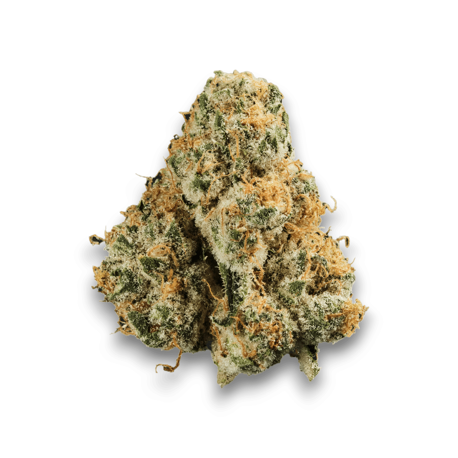 420 Evolution 25/1 CA PCH Peach Chementine