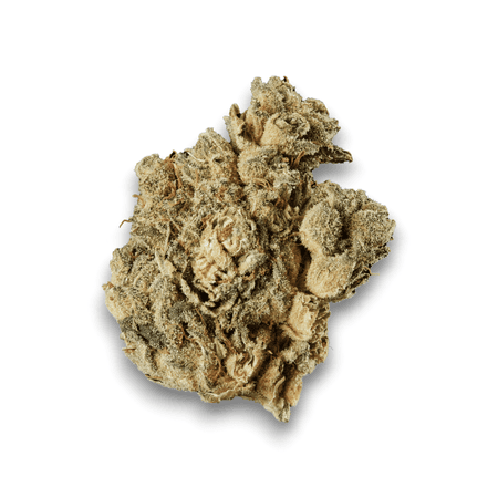 Med. Cannabis