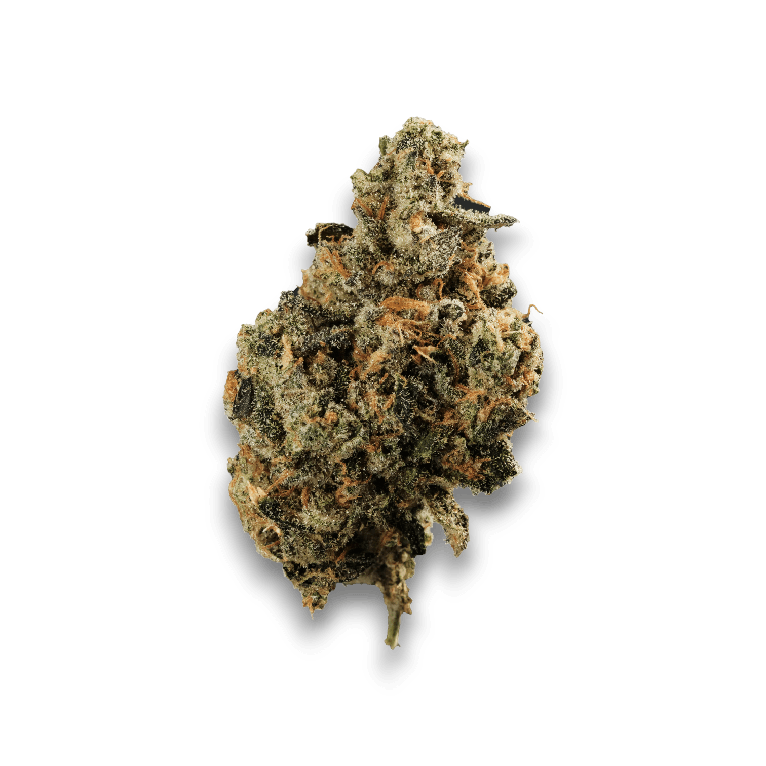 Med. Cannabis