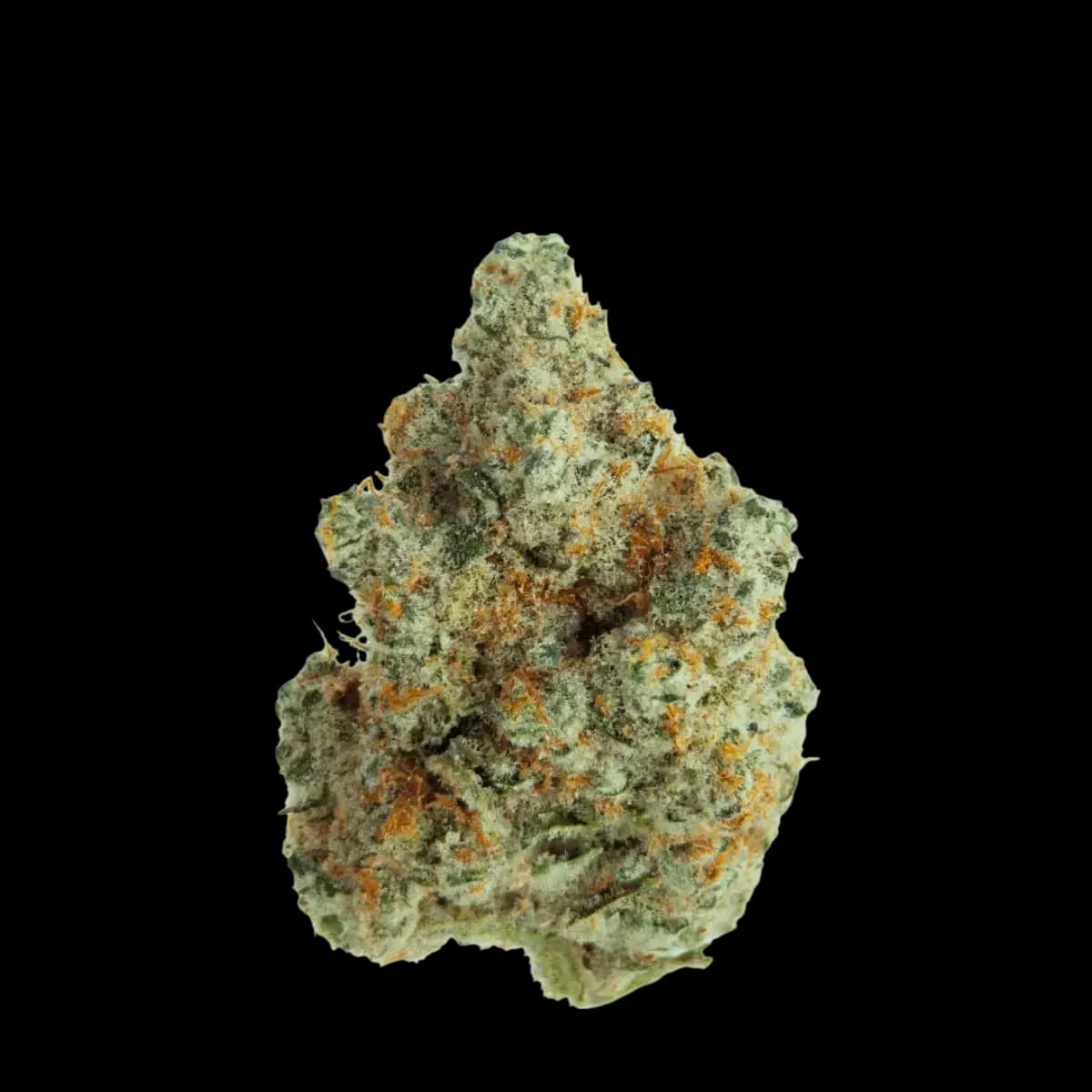 Med. Cannabis