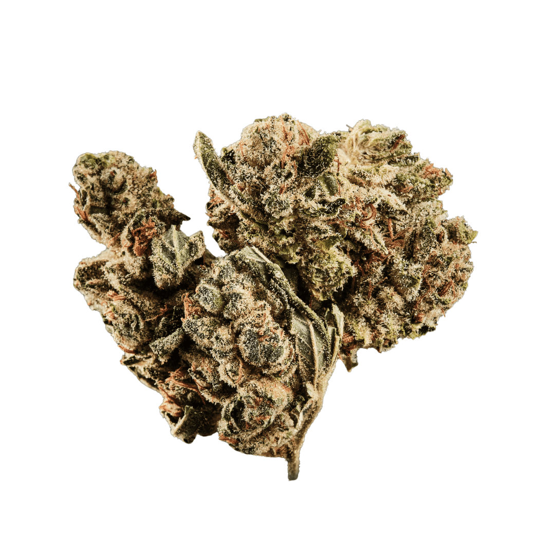 420 NATURAL 22/1 CA GG4