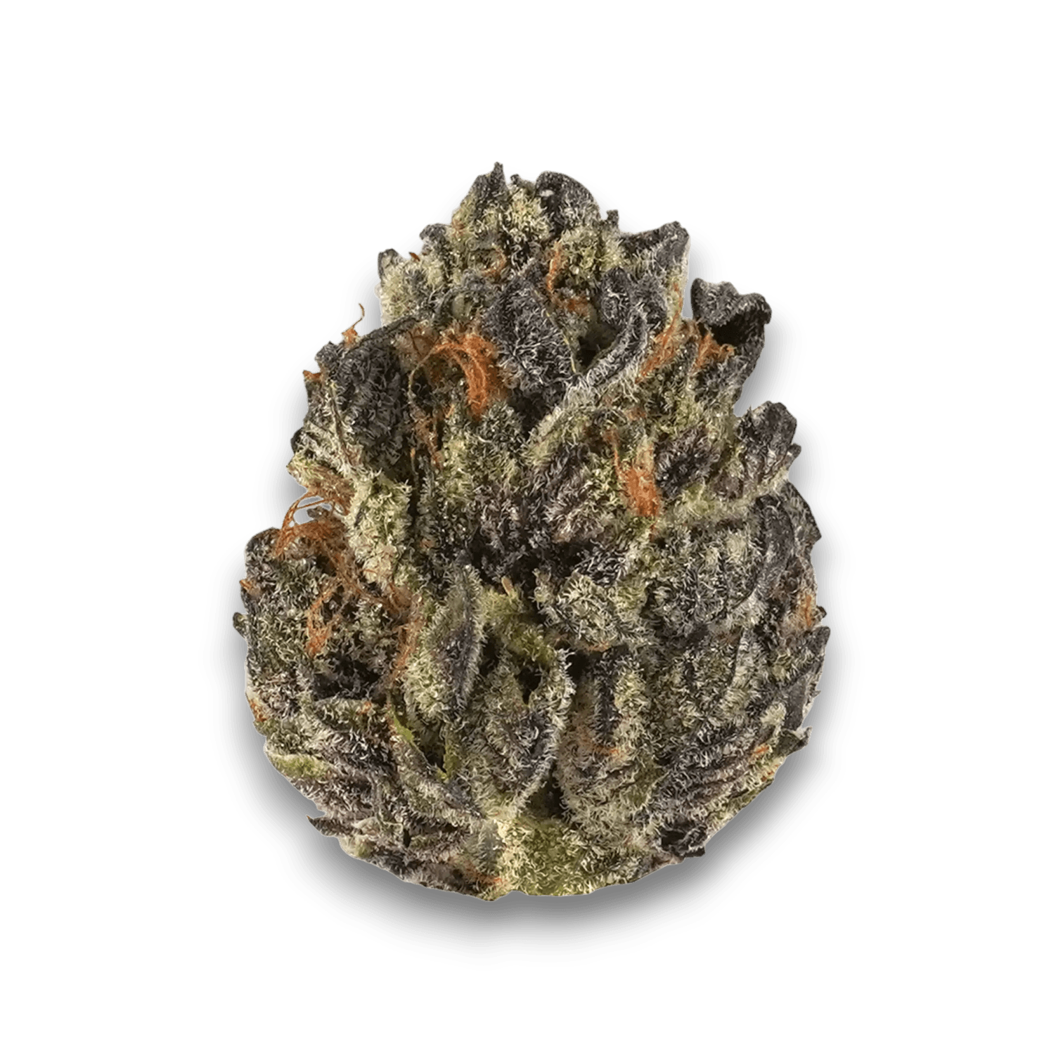Med. Cannabis