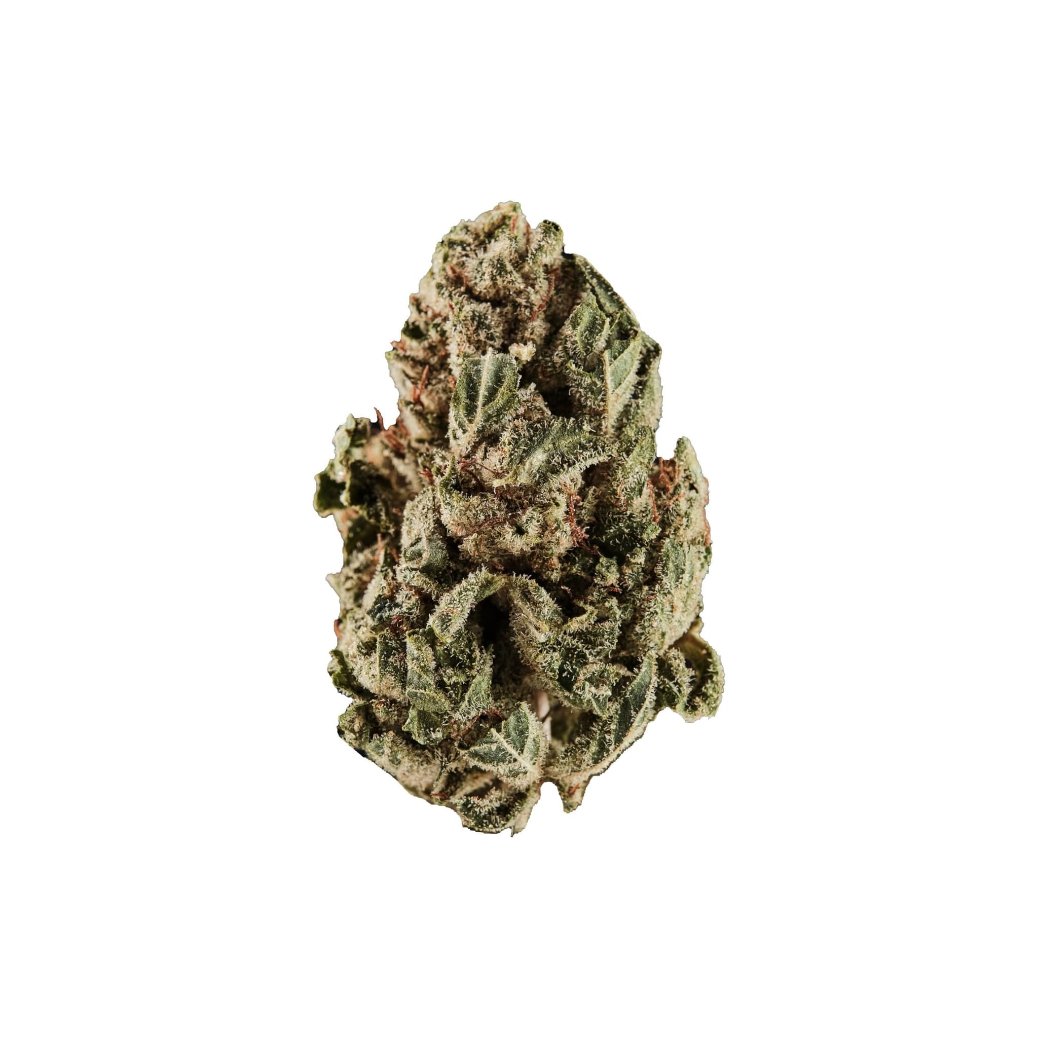 Med. Cannabis