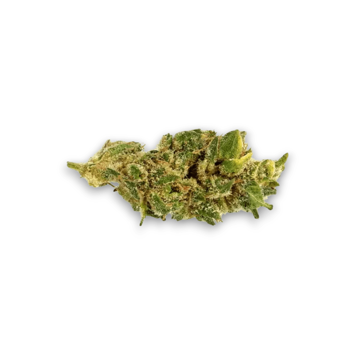 Med. Cannabis