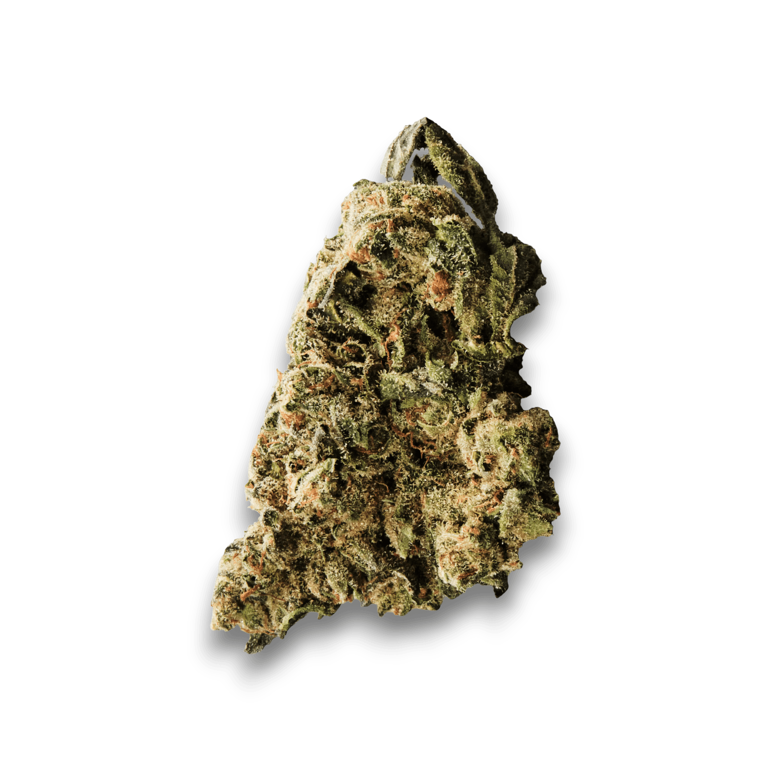 420 Sungrown 25/1 CA LLY