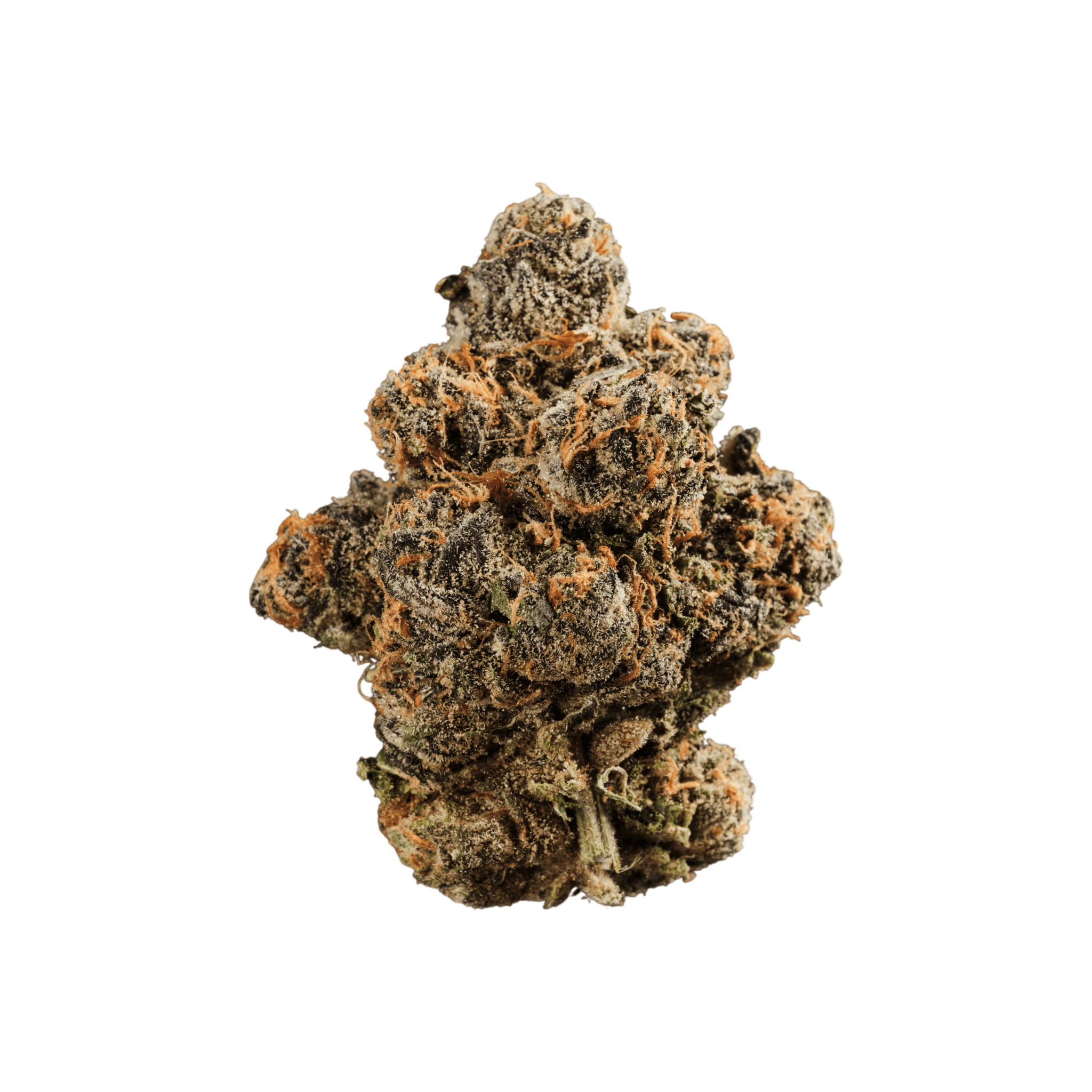 420 Compound 33/1 GAP