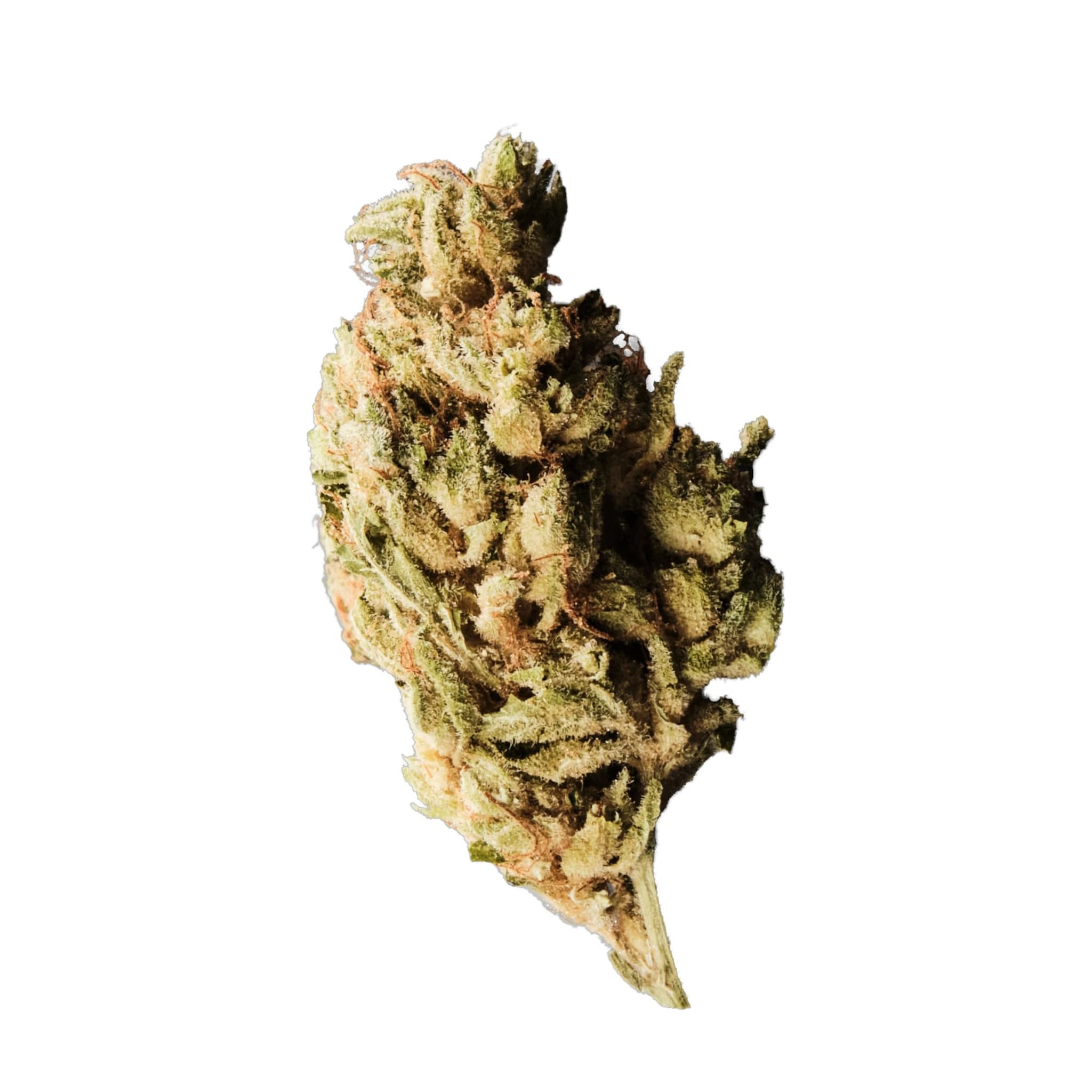 Med. Cannabis