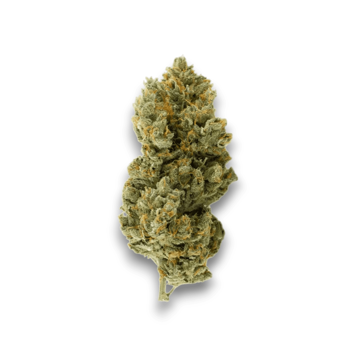 Med. Cannabis