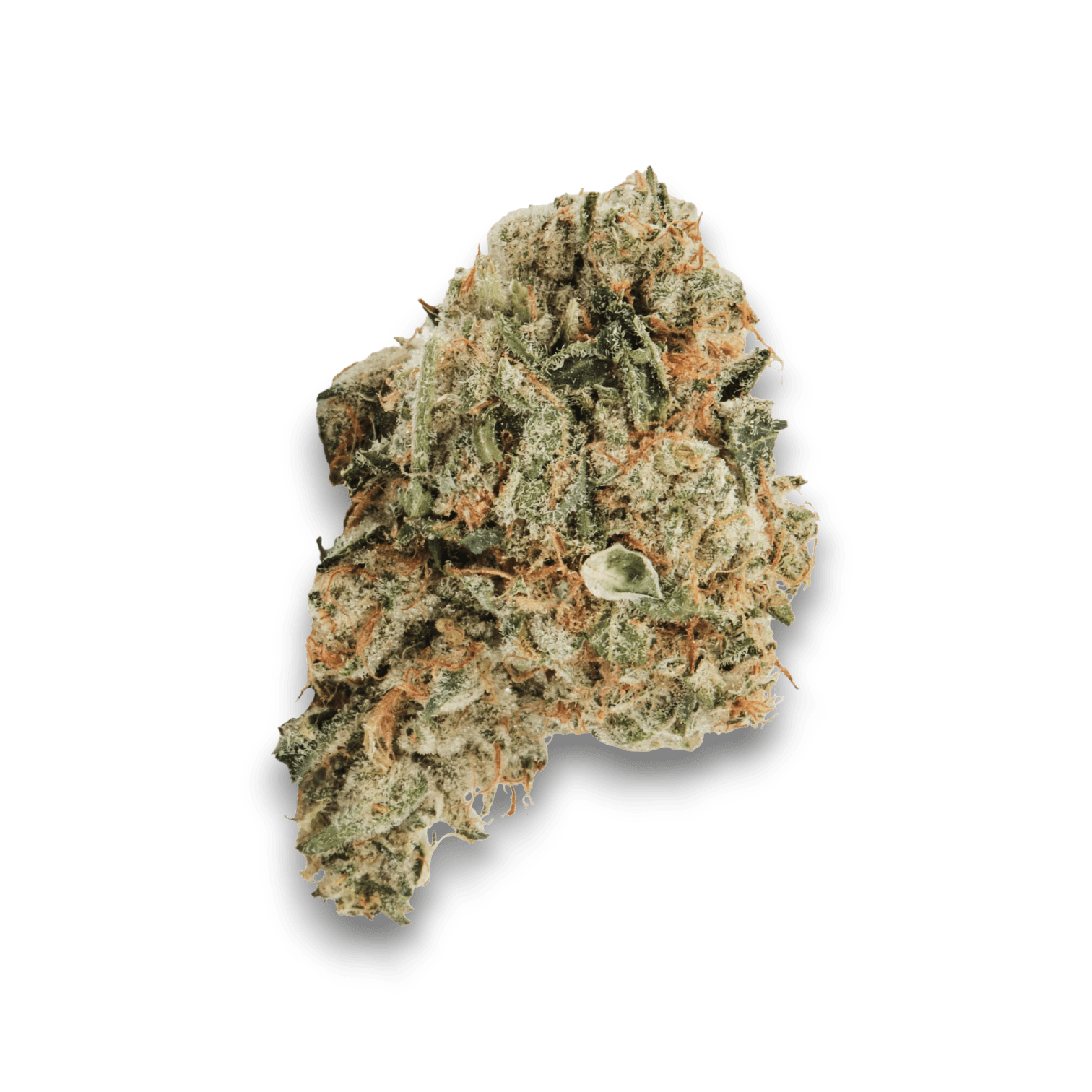 Med. Cannabis