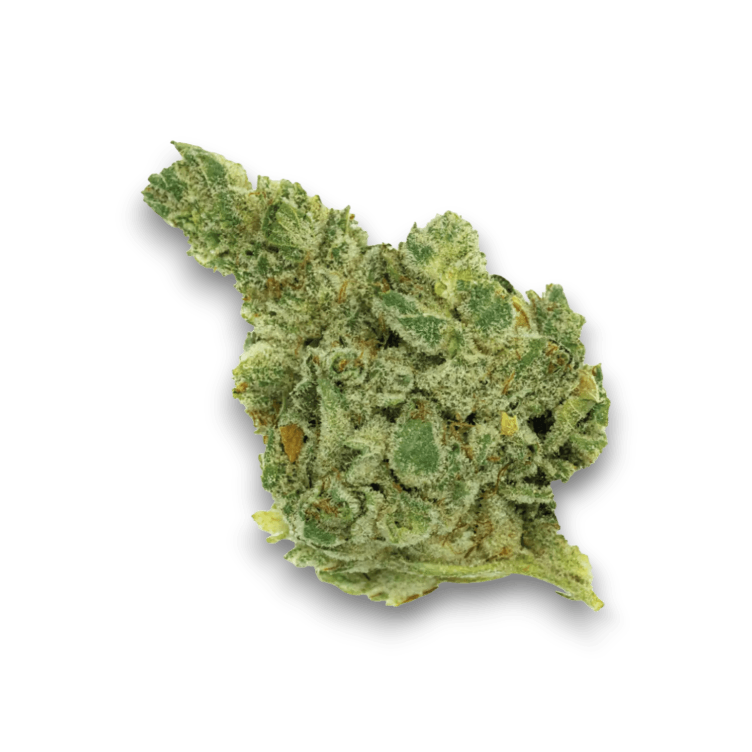 Med. Cannabis