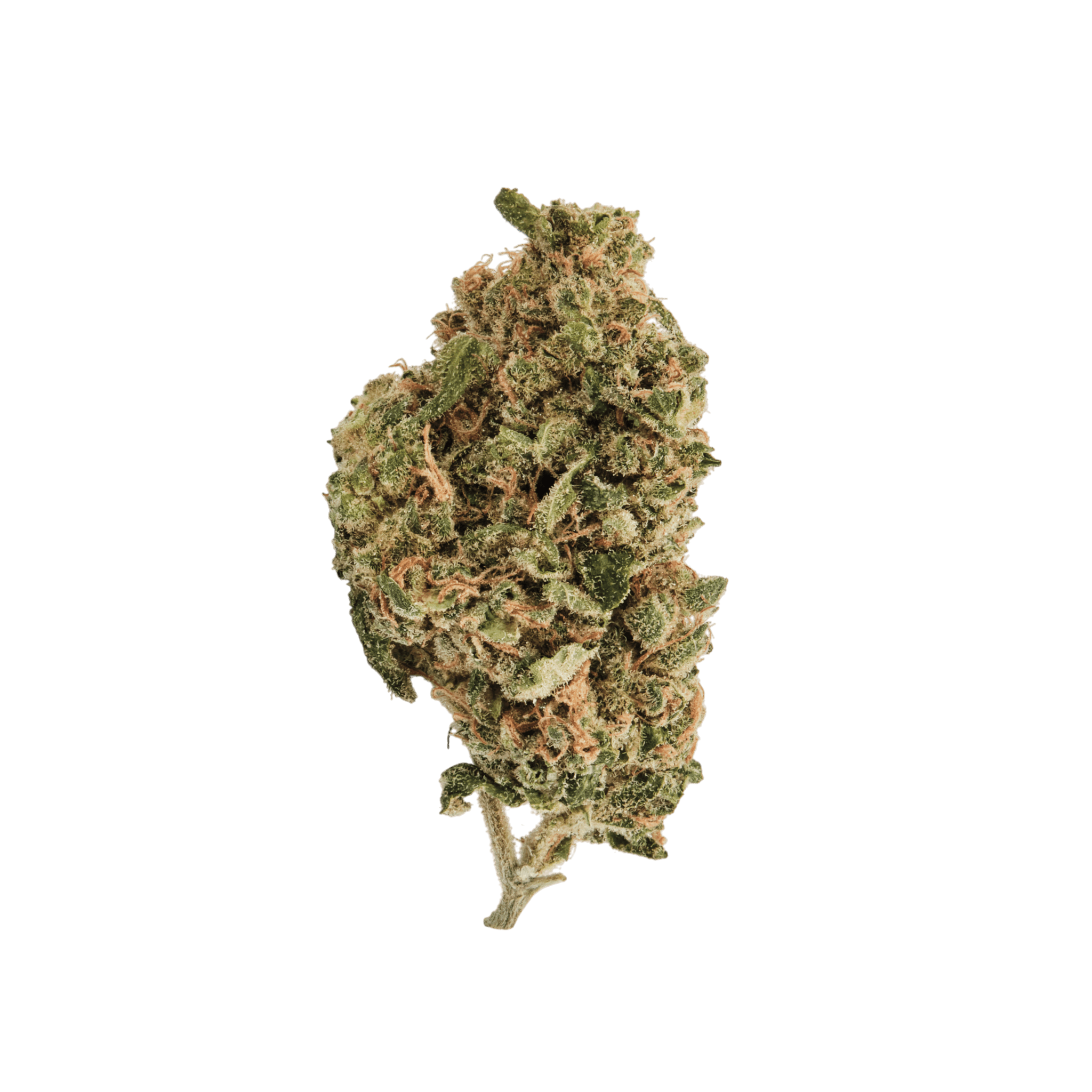 420 Natural 20/1 CA ZRP