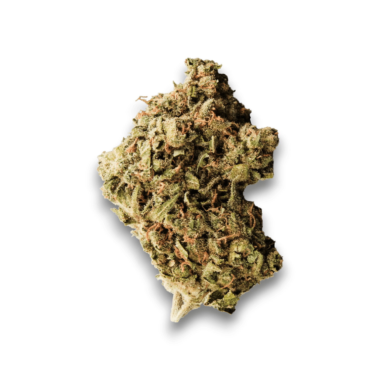 Med. Cannabis