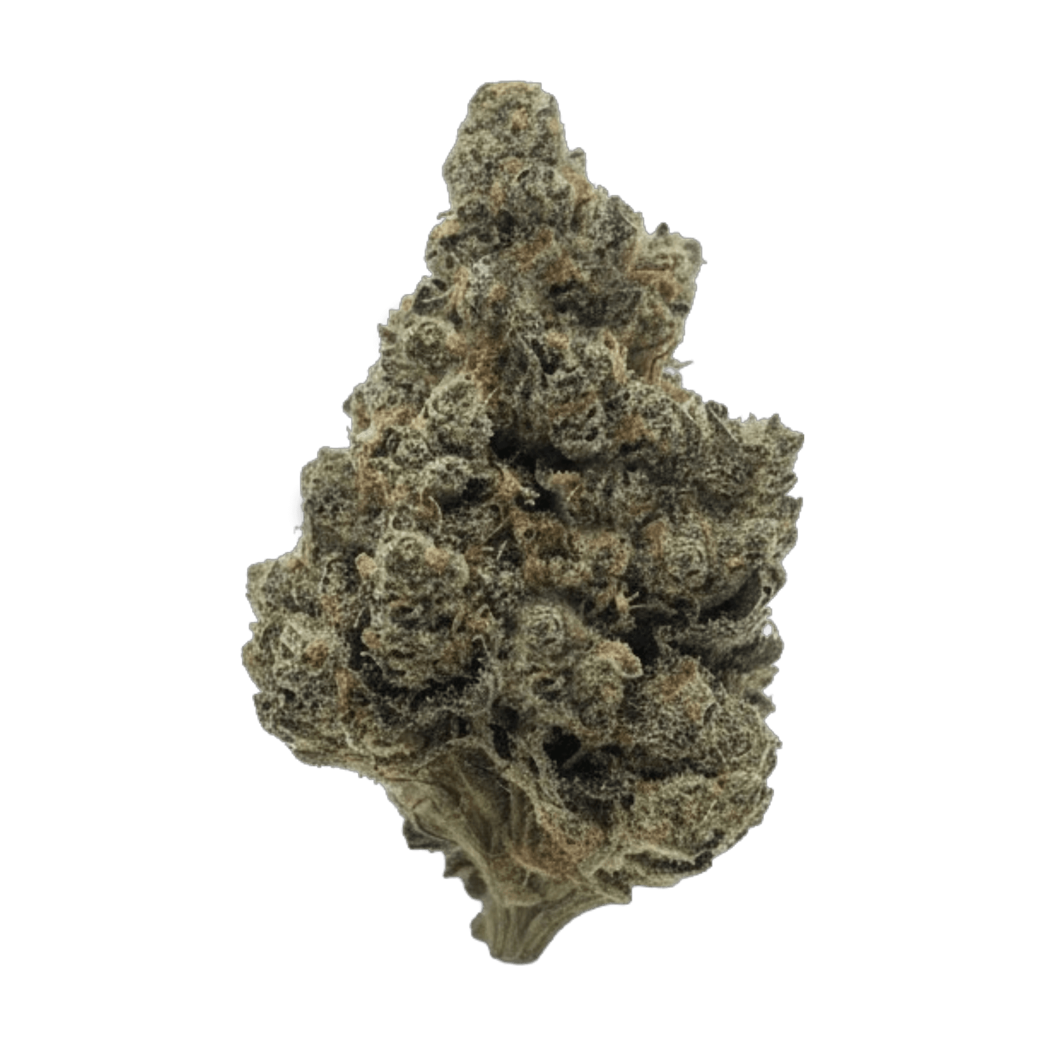 Med. Cannabis