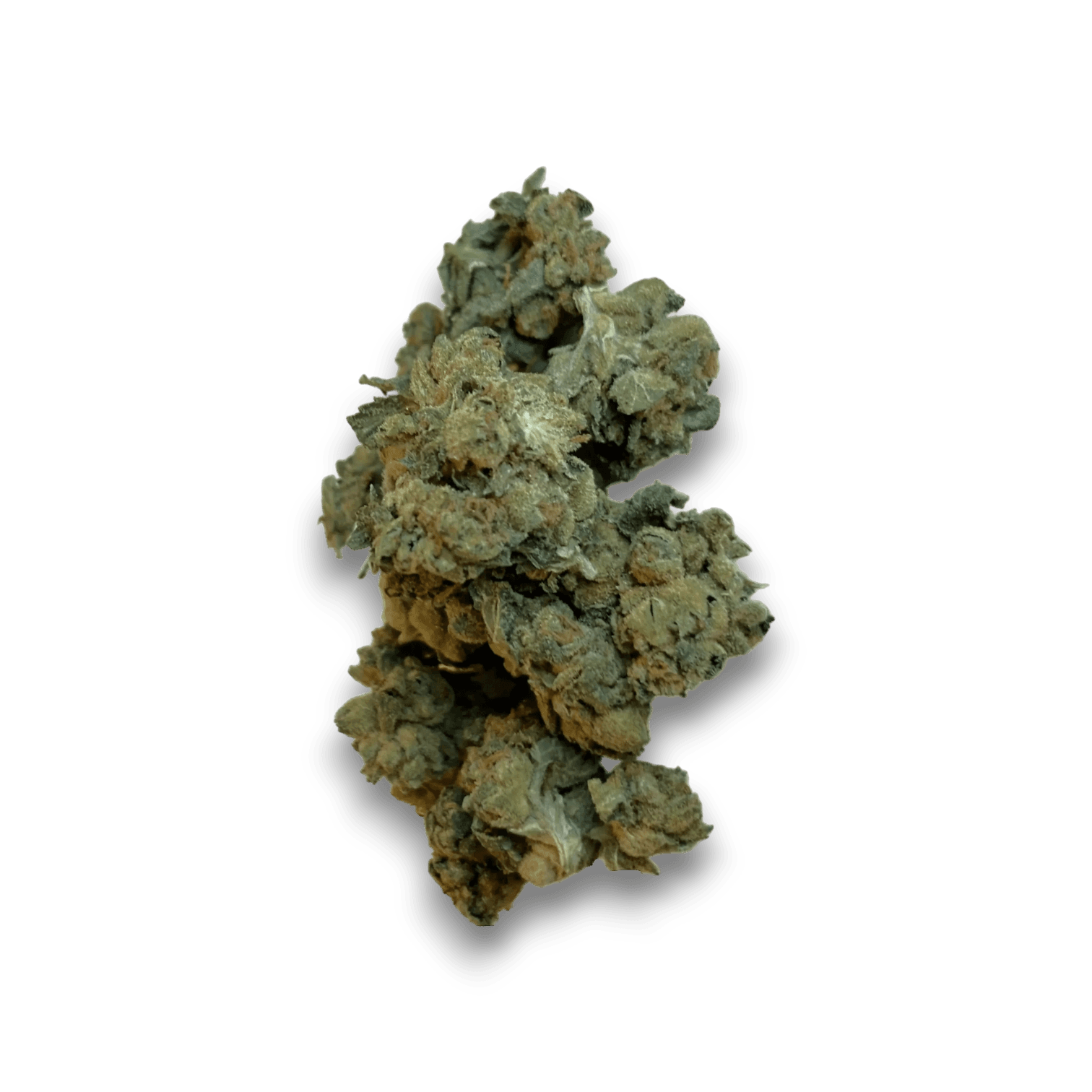 Med. Cannabis