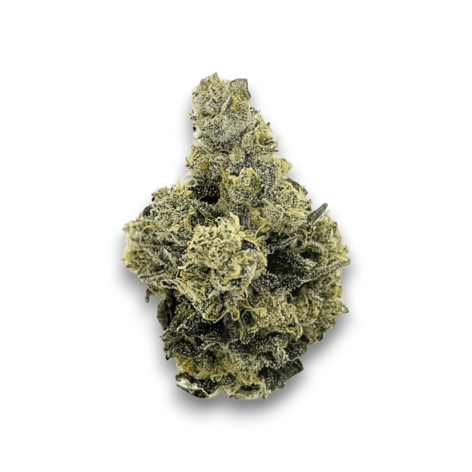 Med. Cannabis
