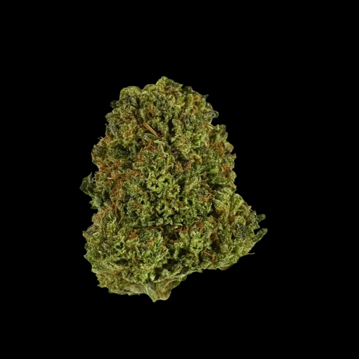 ADREX 22 CKD Cookie Dough