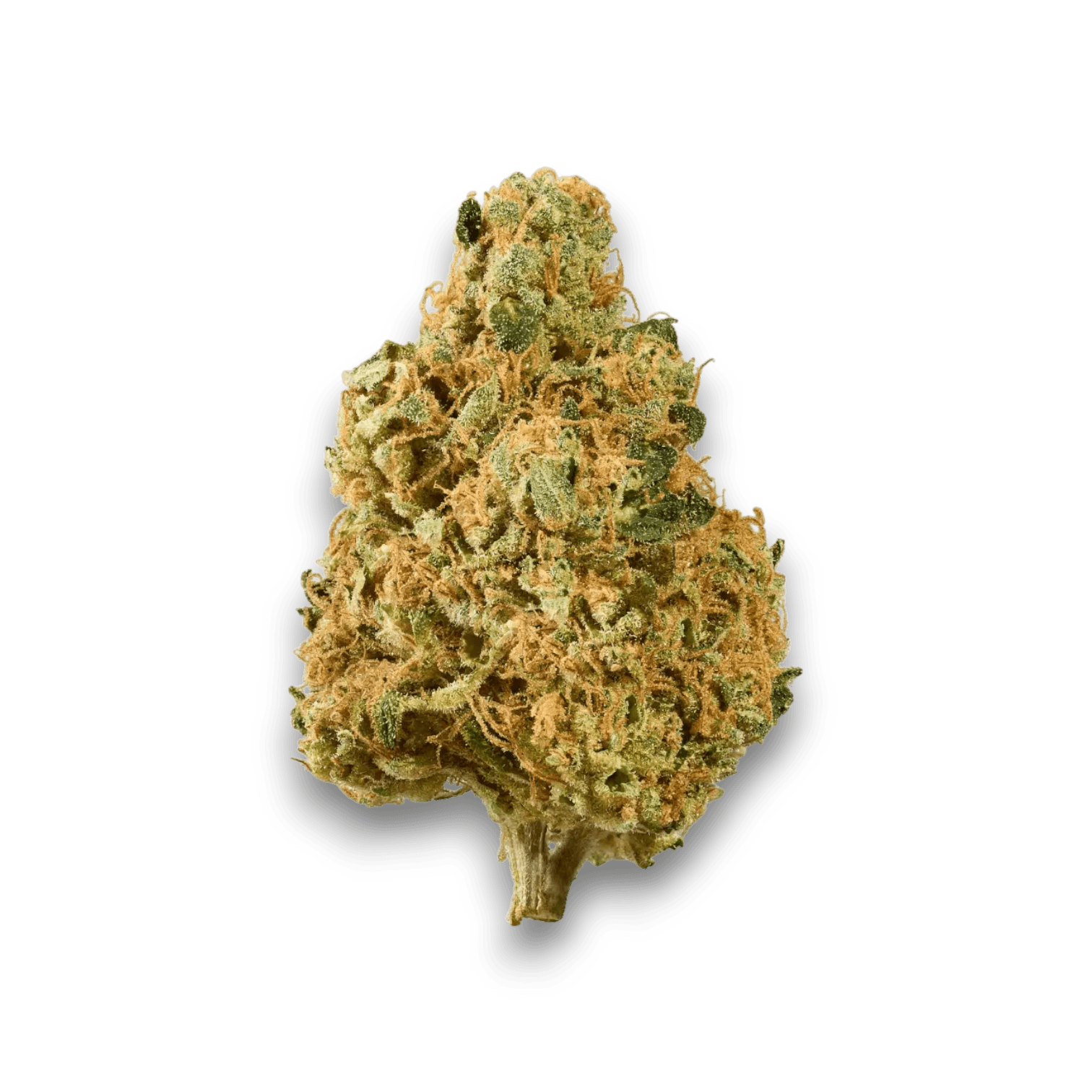 Med. Cannabis