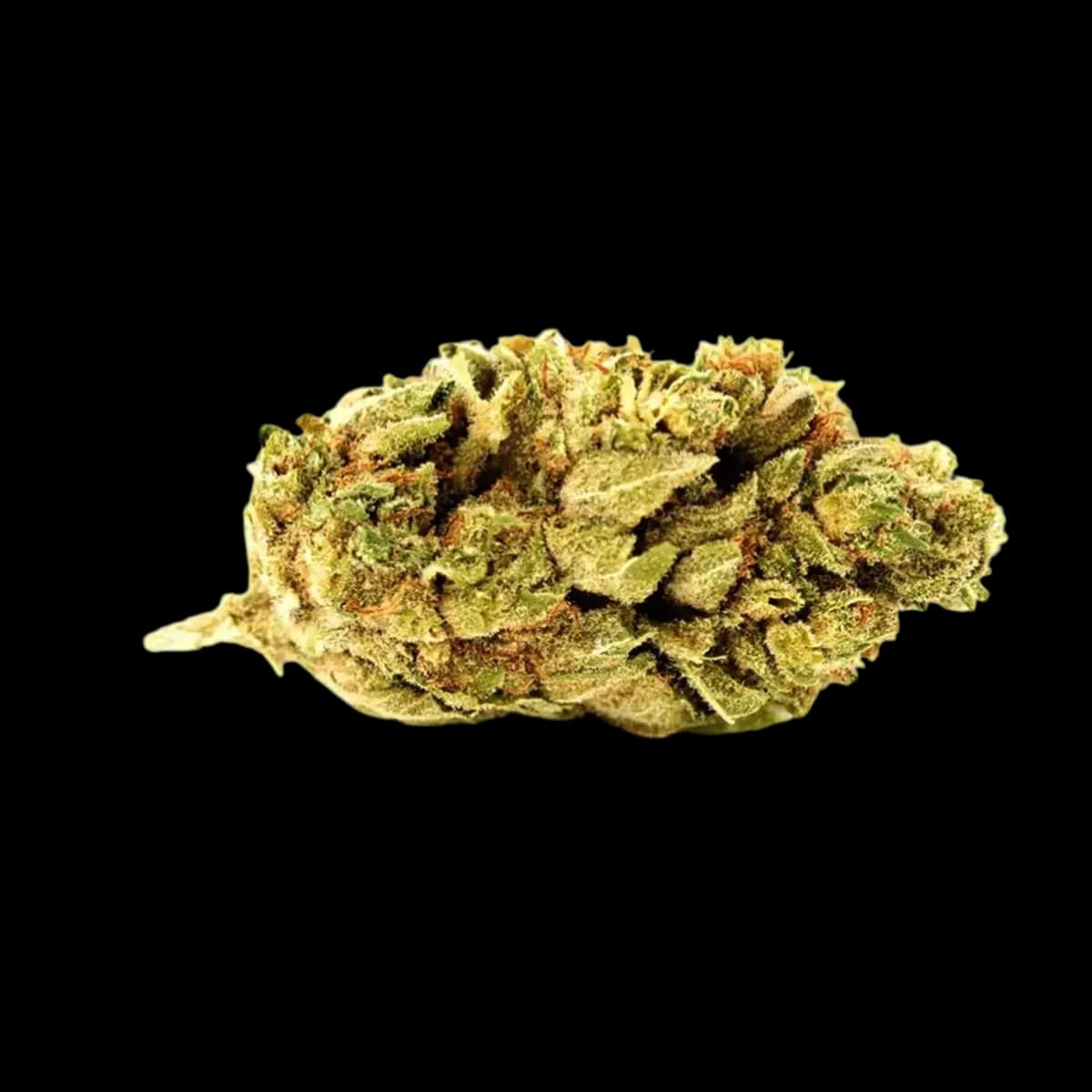 Med. Cannabis