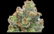 Med. Cannabis