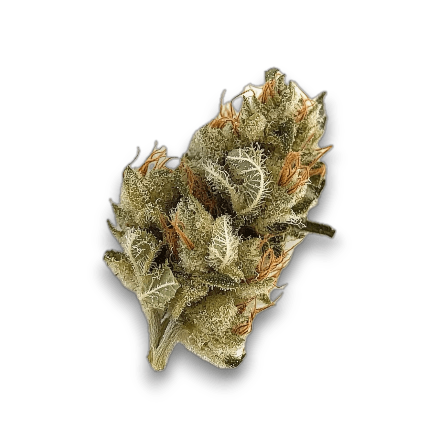 Med. Cannabis