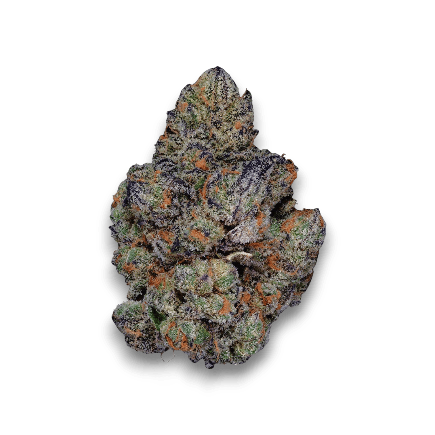 Aleph purple 26/1
