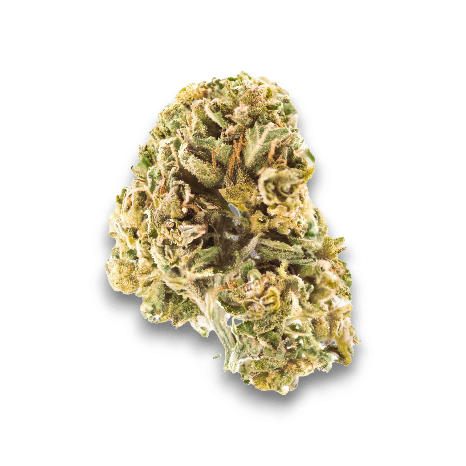 Med. Cannabis