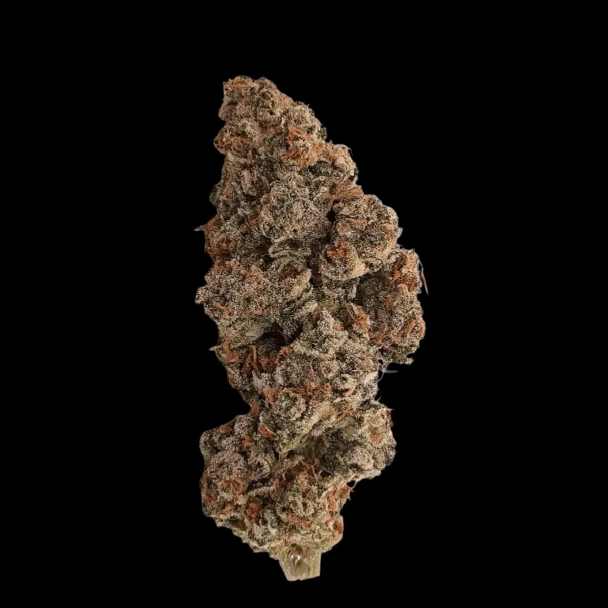 Alephsana fire 32/1