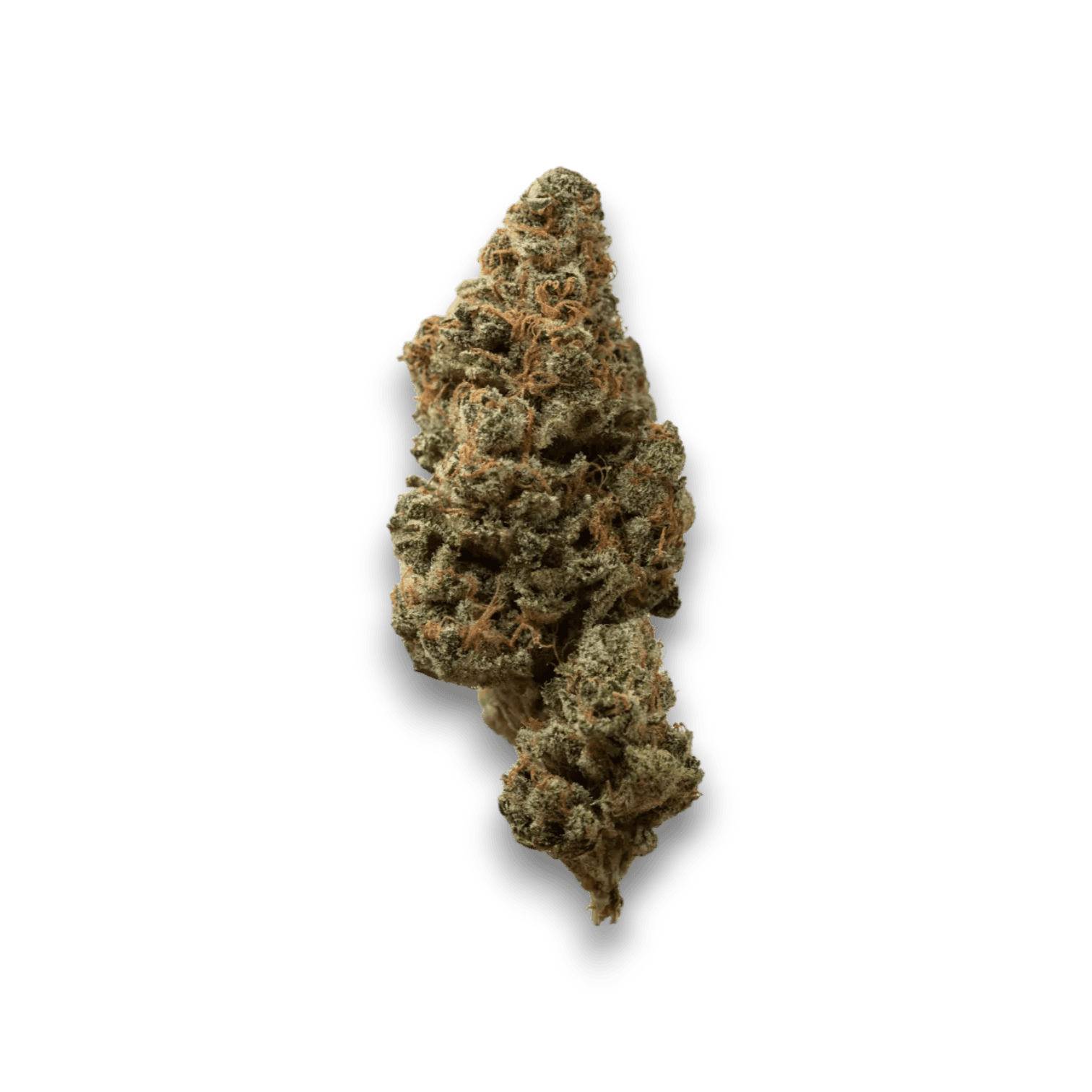 Med. Cannabis