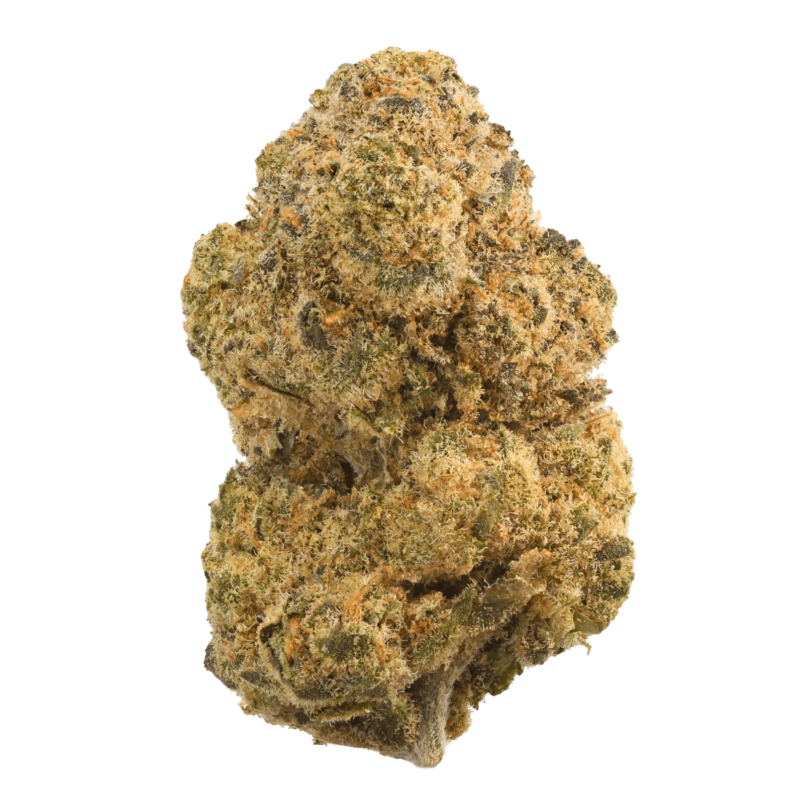 All Nations GG 34/1