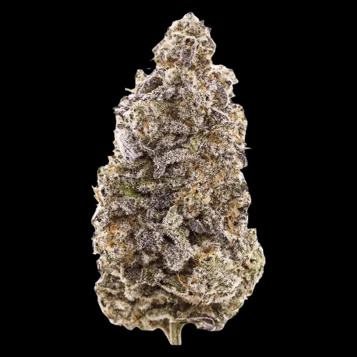 Med. Cannabis
