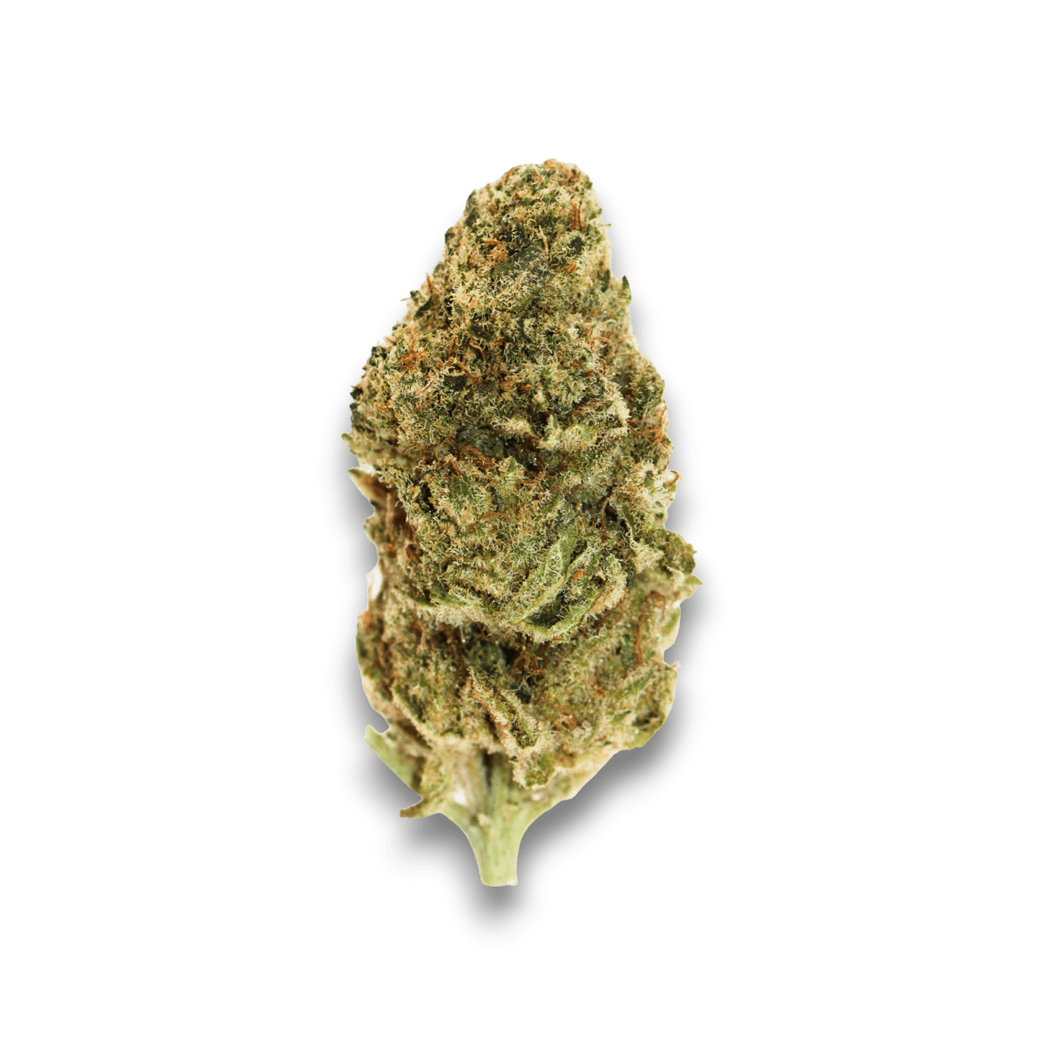 Med. Cannabis