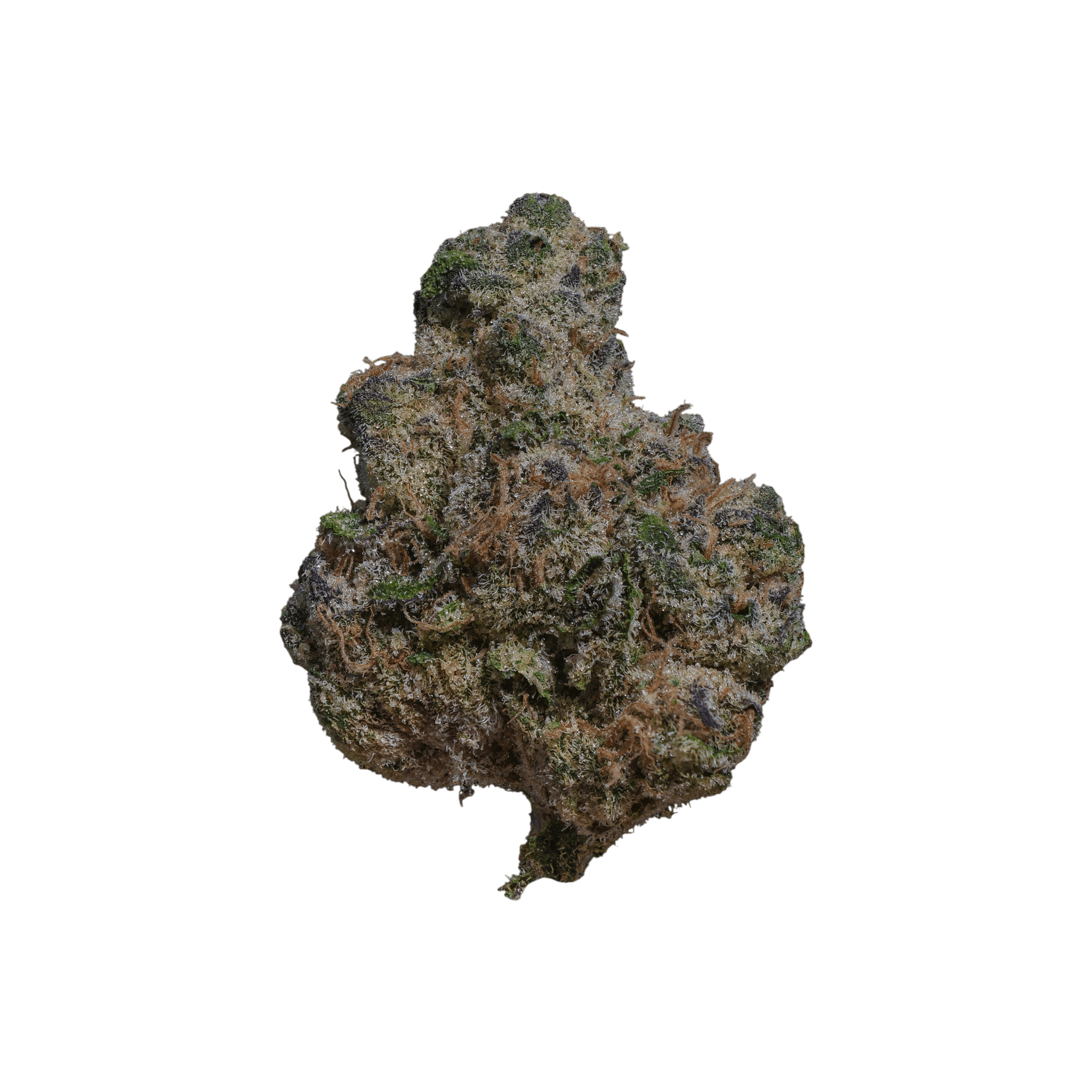 AMP Trichome ACA THC 24