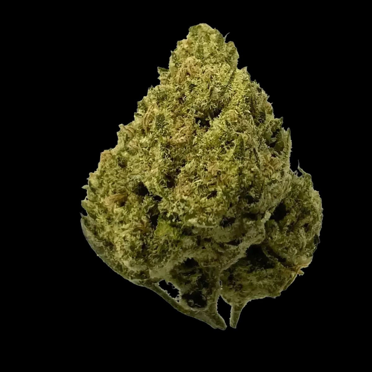 Med. Cannabis