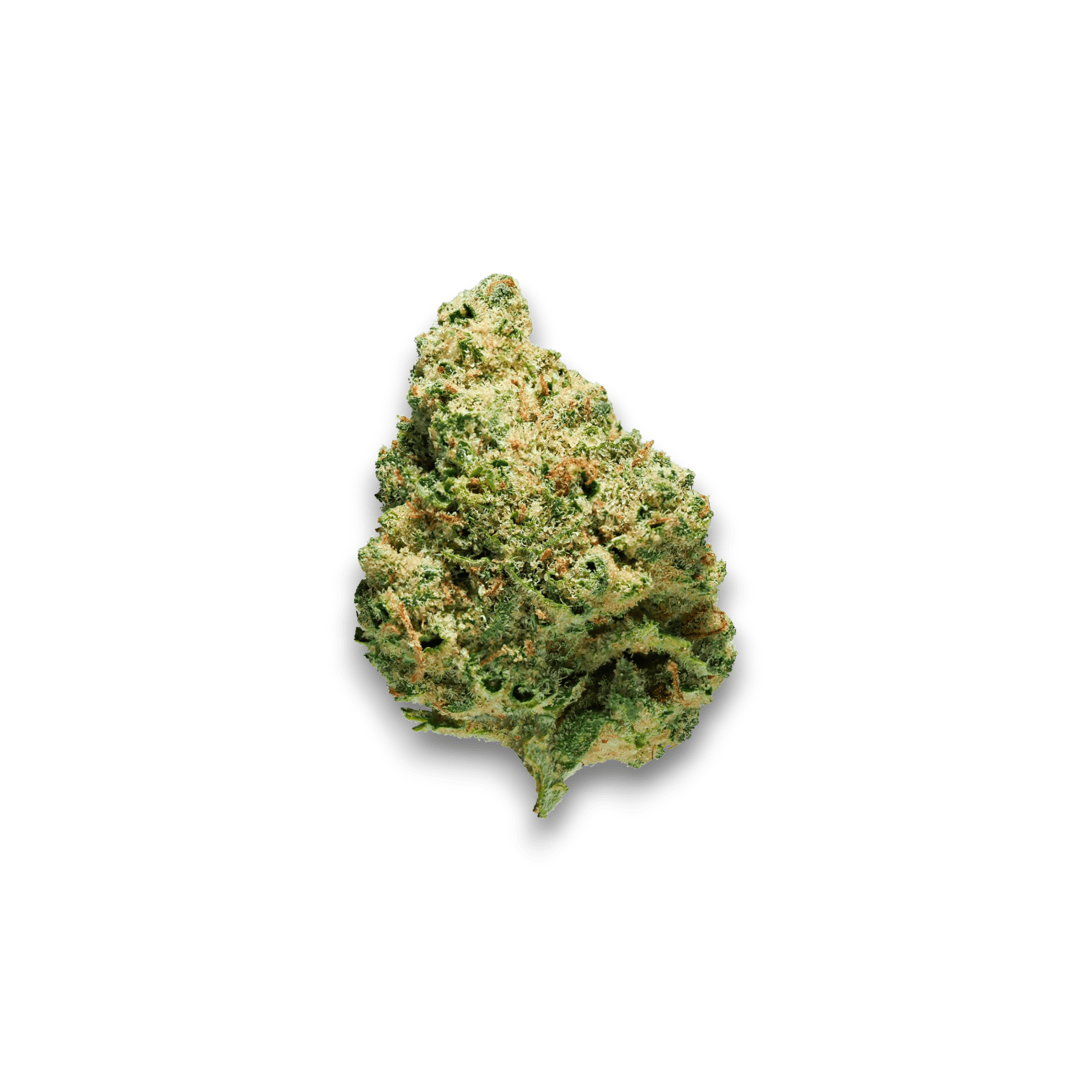 Med. Cannabis