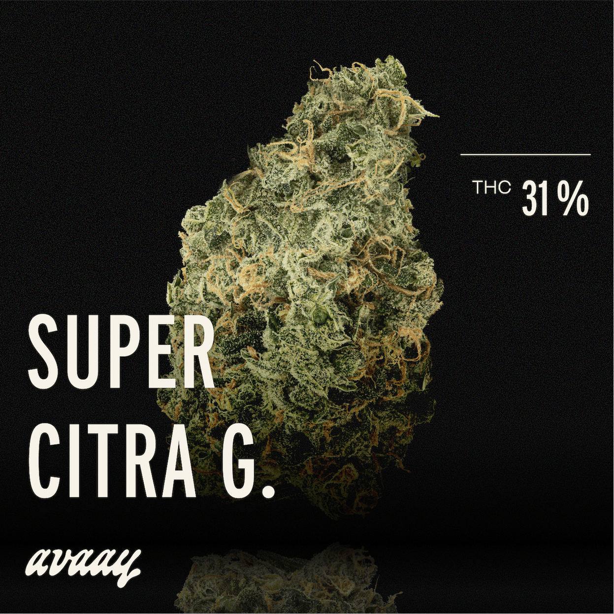 Med. Cannabis