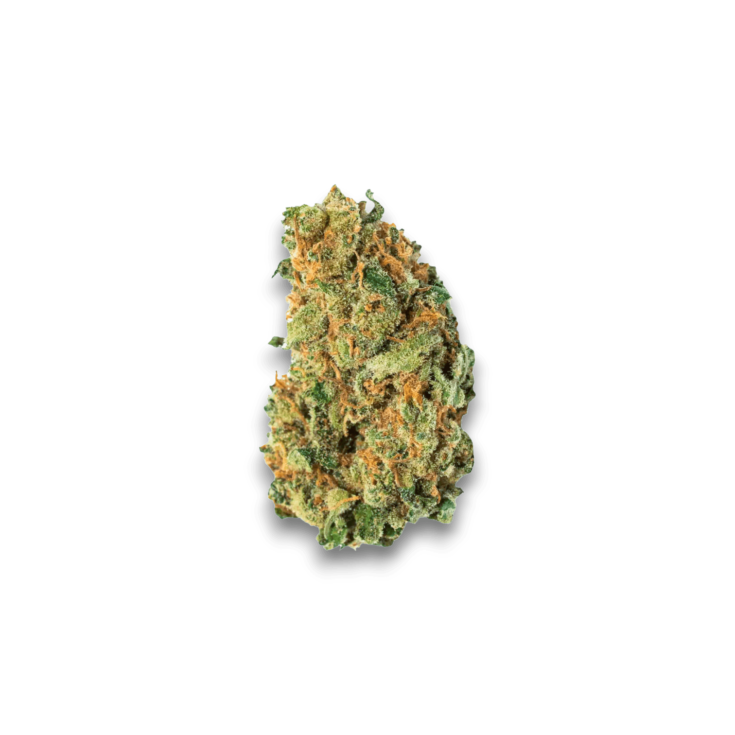 Med. Cannabis