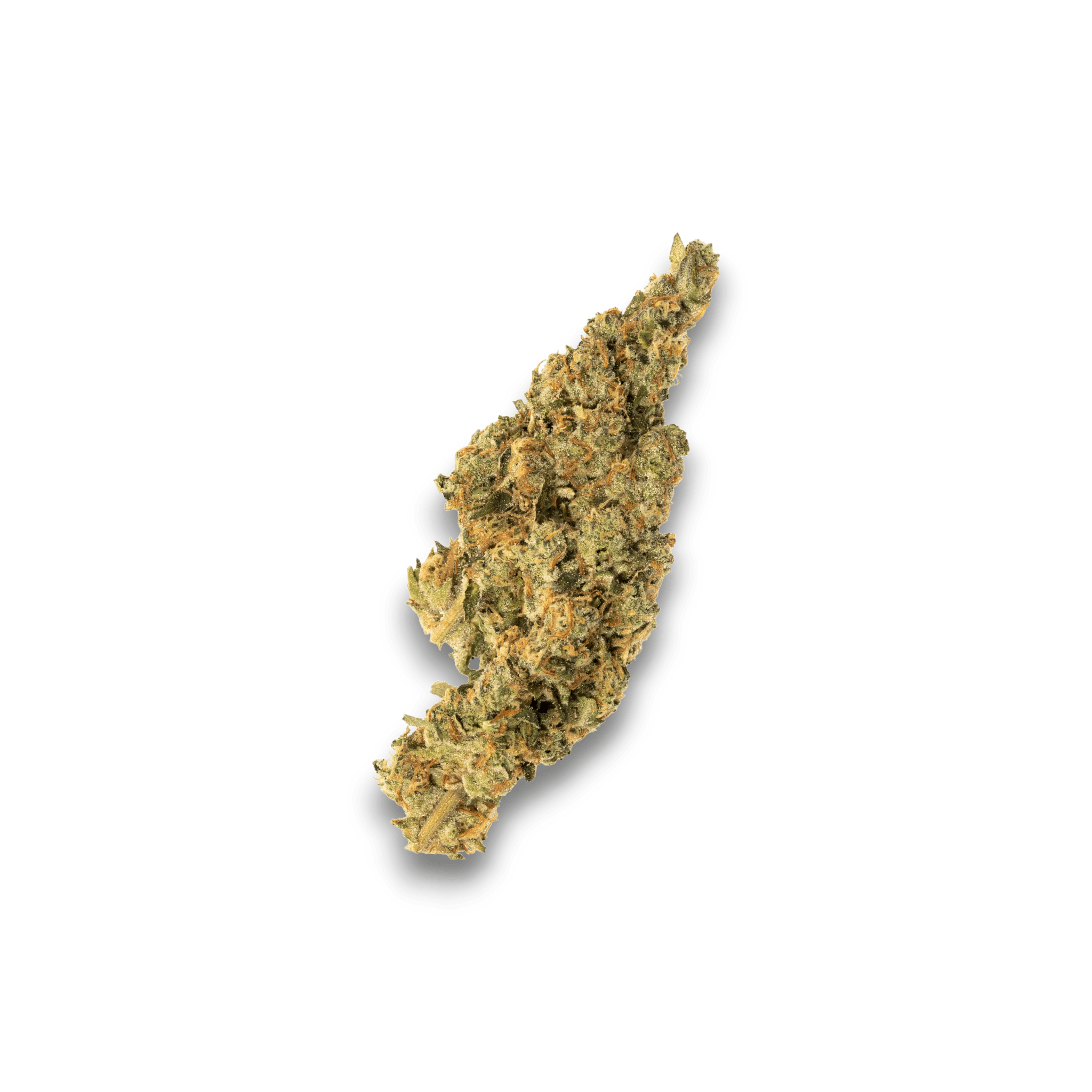 Med. Cannabis