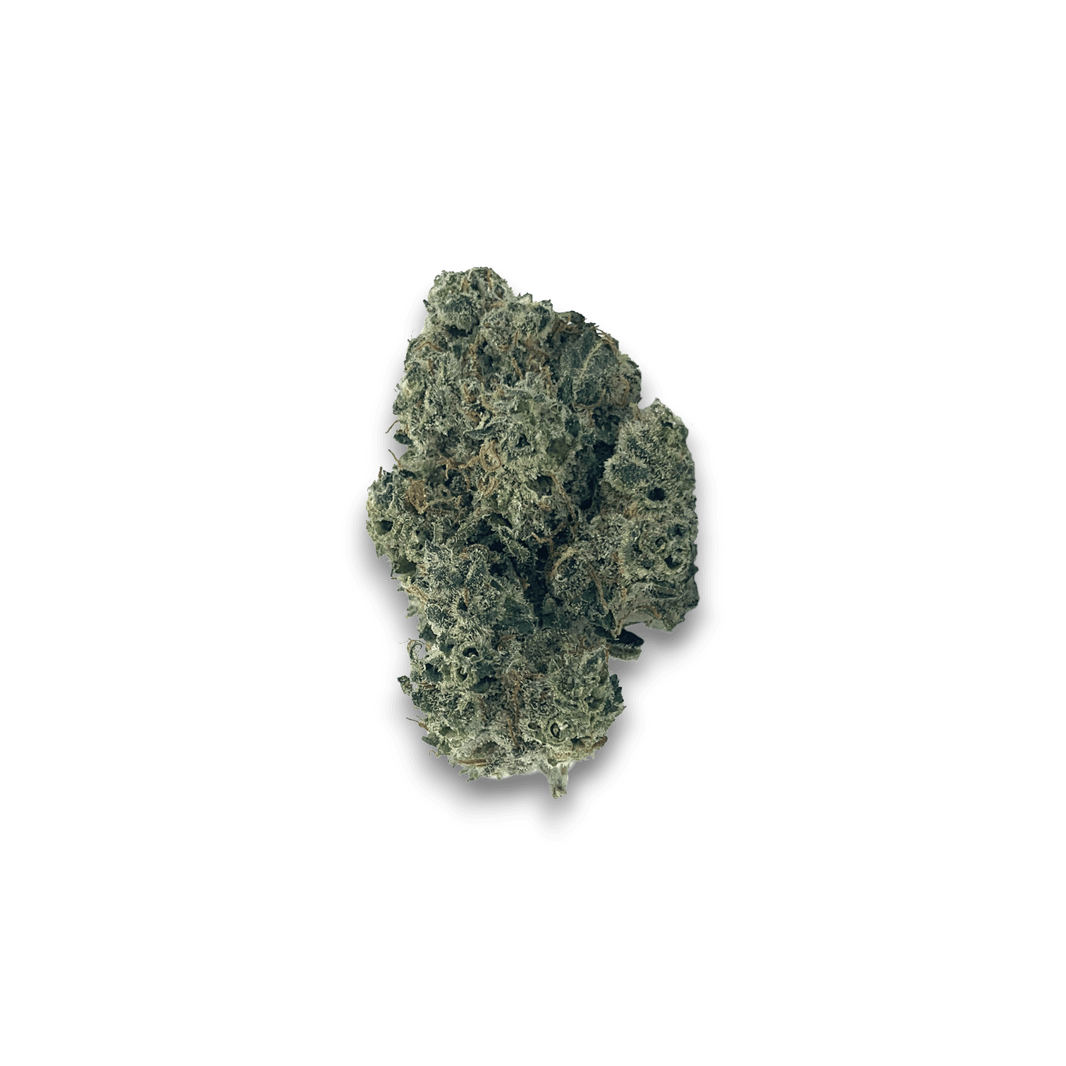 Med. Cannabis
