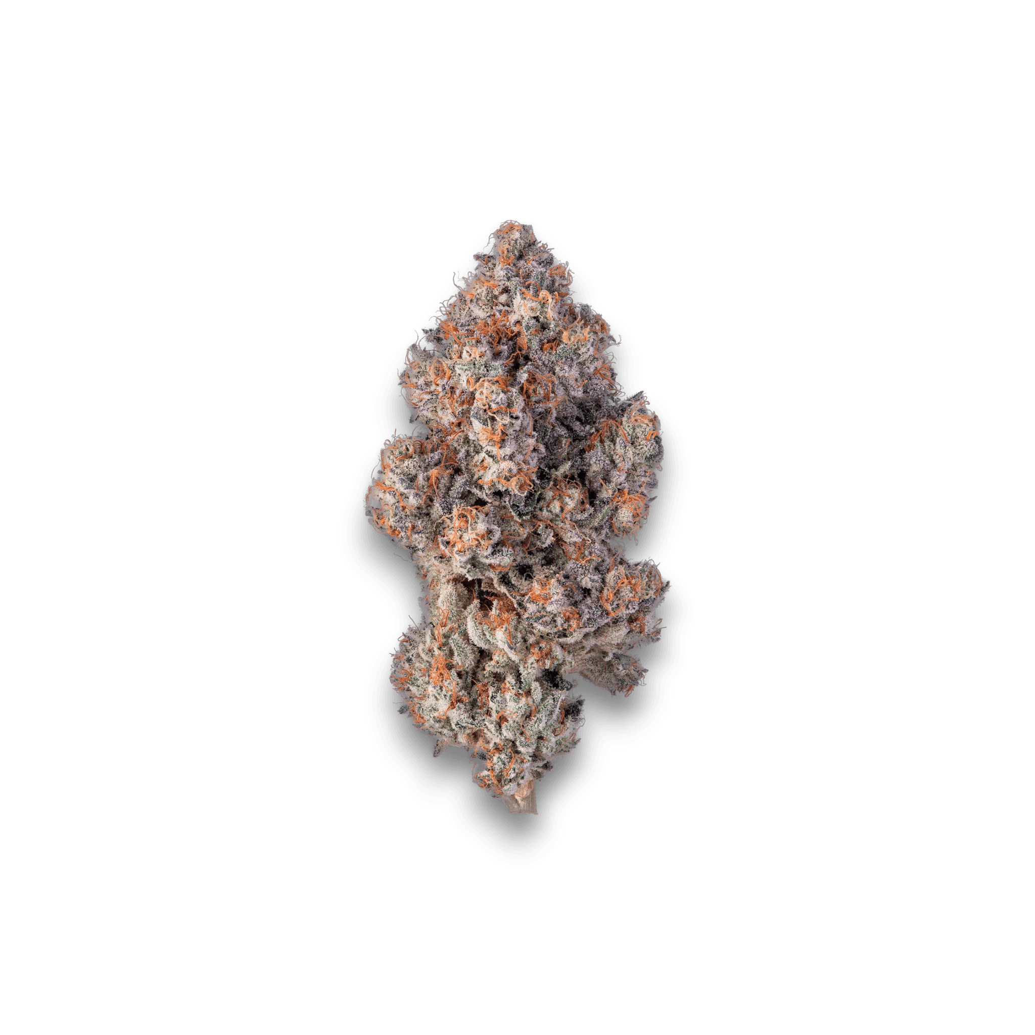 Med. Cannabis