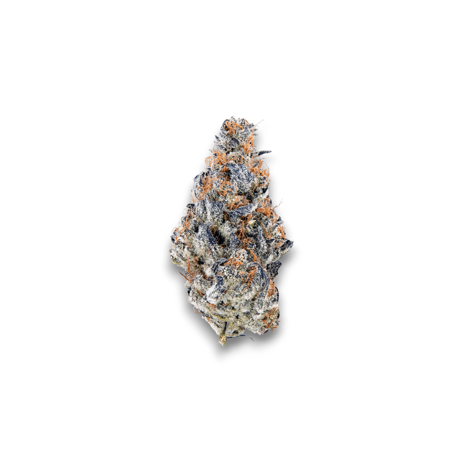 Med. Cannabis
