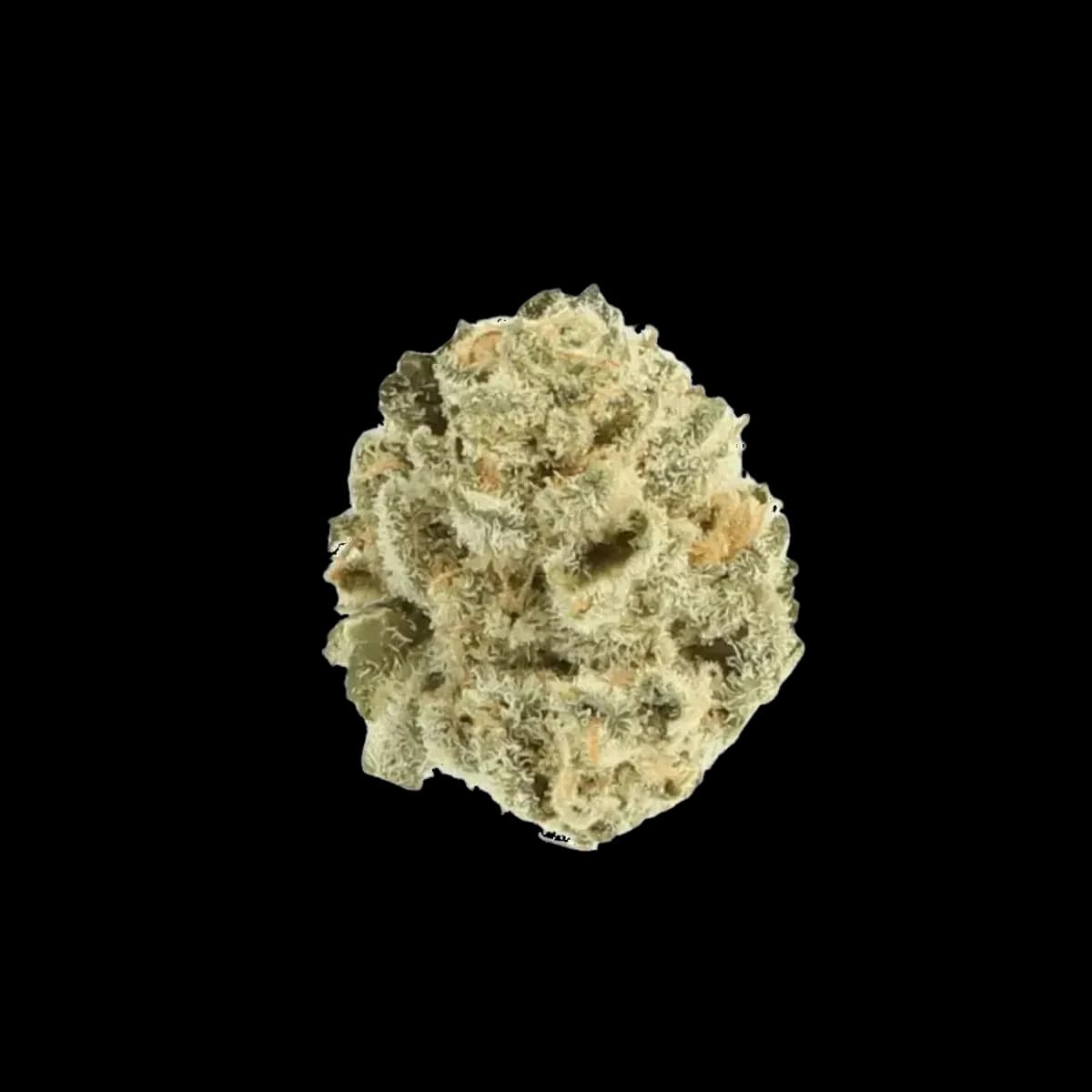 Med. Cannabis
