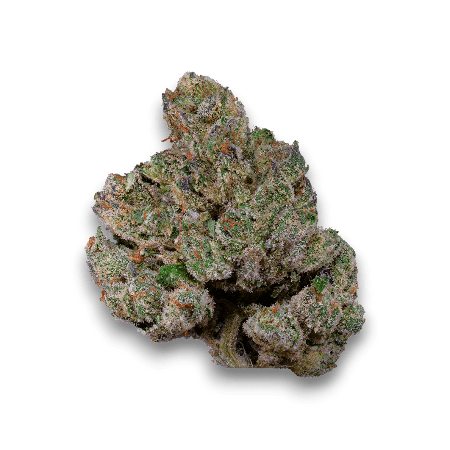 Med. Cannabis