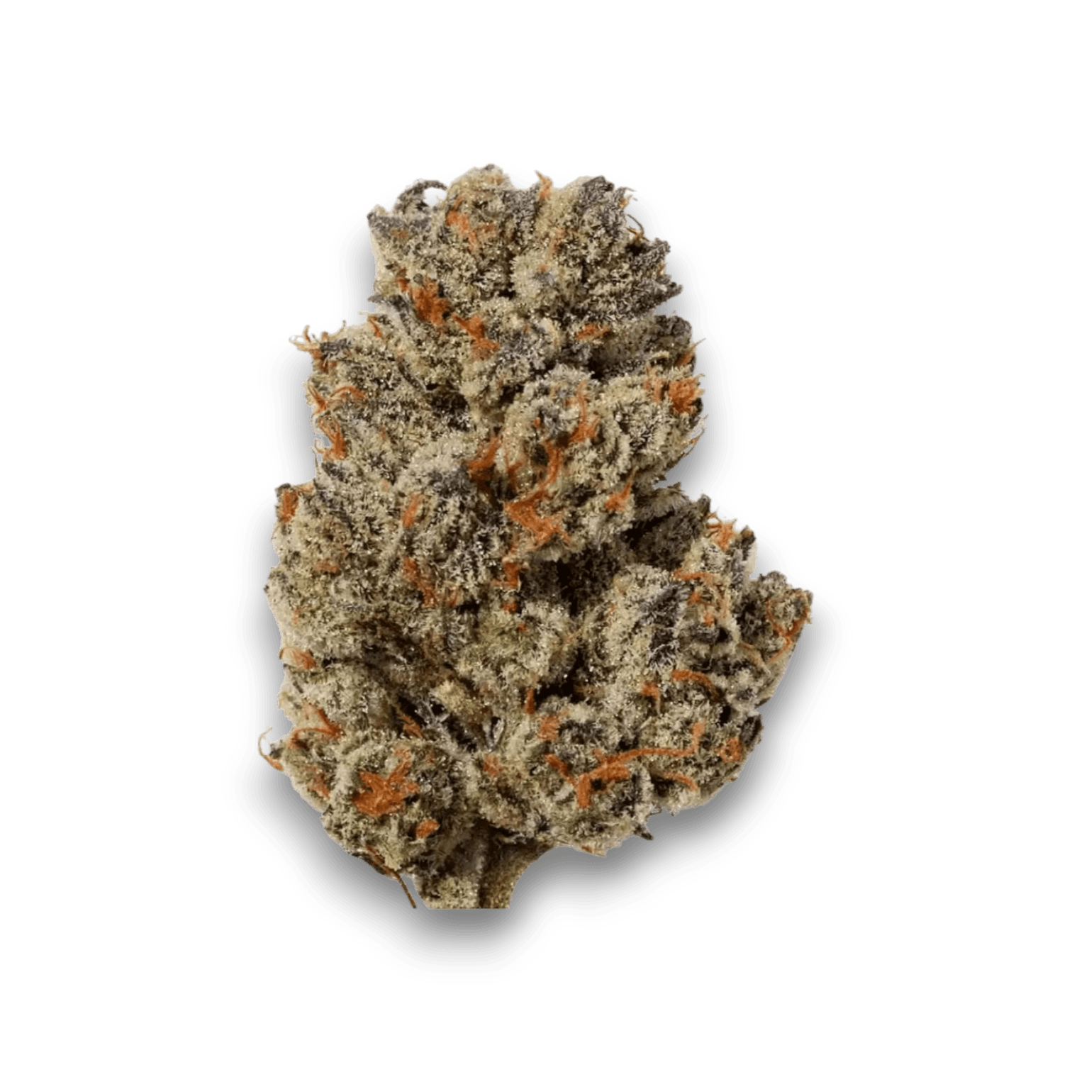 Med. Cannabis