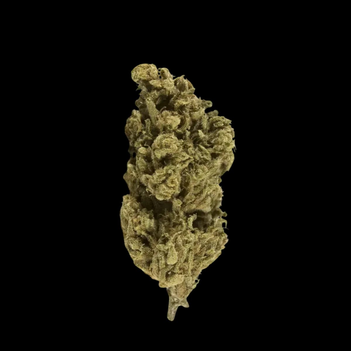 Med. Cannabis